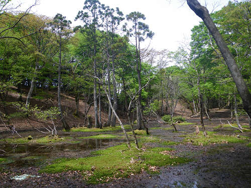 高島トレイル　駒ヶ岳_c0002874_22561590.jpg