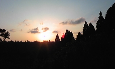 c0061774_22142782.jpg