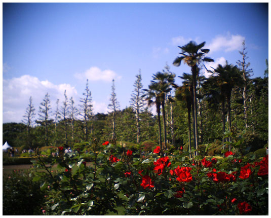 d0033274_21235863.jpg