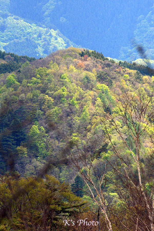 d0054076_10511382.jpg