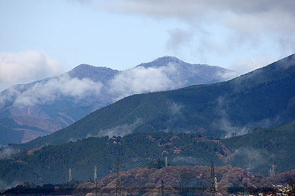 新緑の三頭山へ_d0054076_15473413.jpg