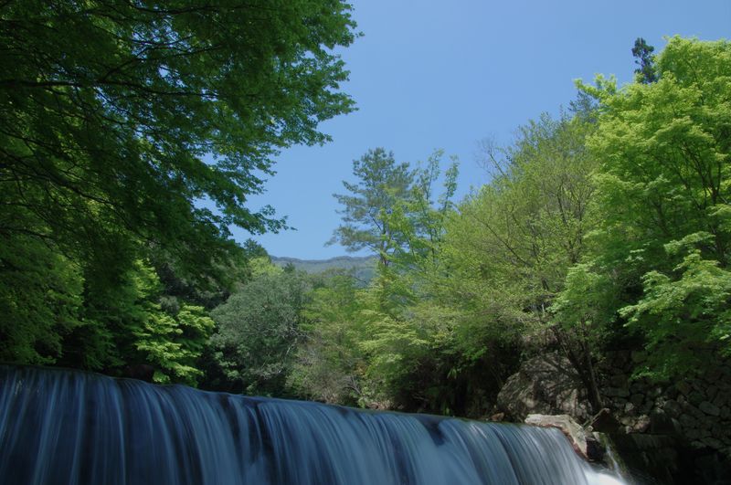 e0152576_2040635.jpg