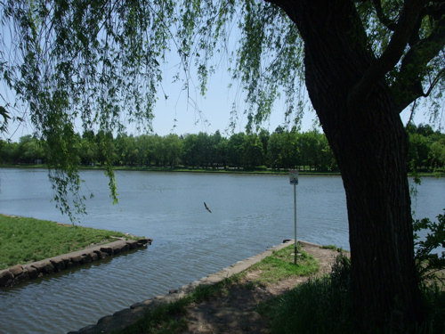 初夏の公園_c0173978_1212562.jpg