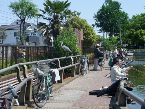 初夏の公園_c0173978_121731.jpg