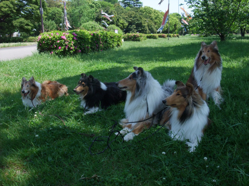 初夏の公園_c0173978_1223354.jpg