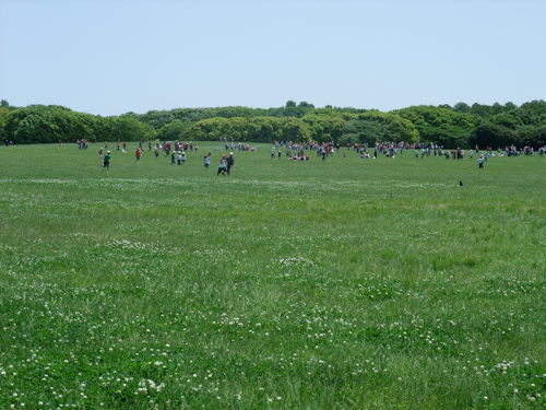 初夏の公園_c0173978_1233966.jpg