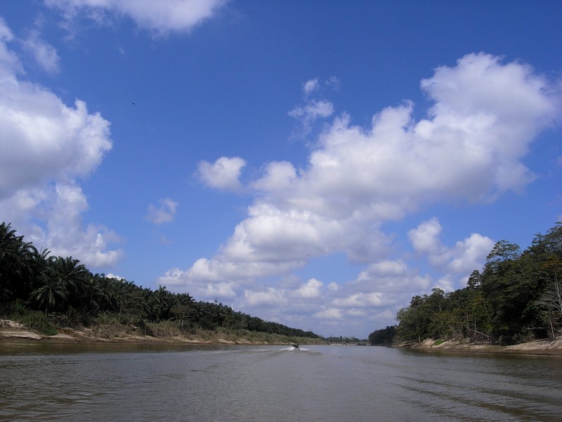 b0108186_2327383.jpg