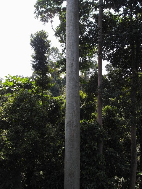 b0108186_23334760.jpg