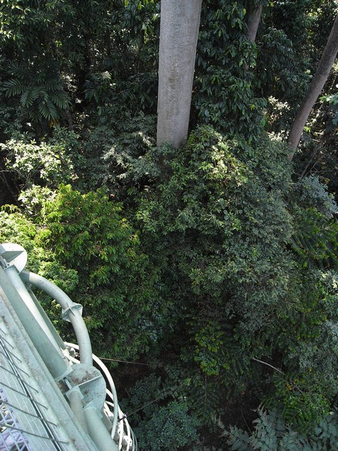 b0108186_23335911.jpg