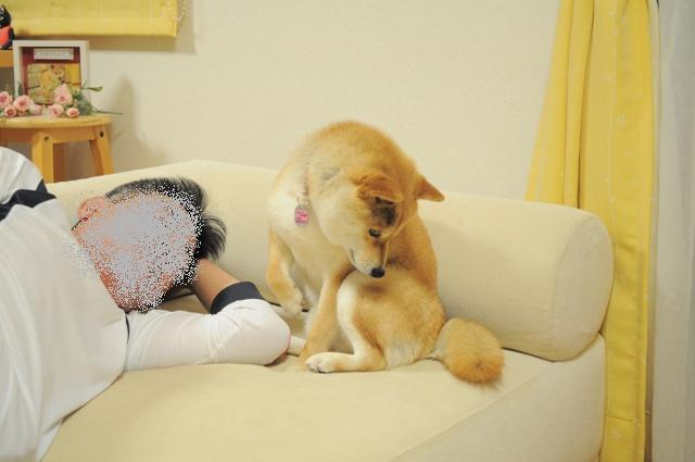 飲み過ぎ注意!!_a0126590_7333677.jpg