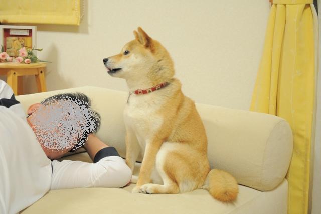 飲み過ぎ注意!!_a0126590_7353837.jpg
