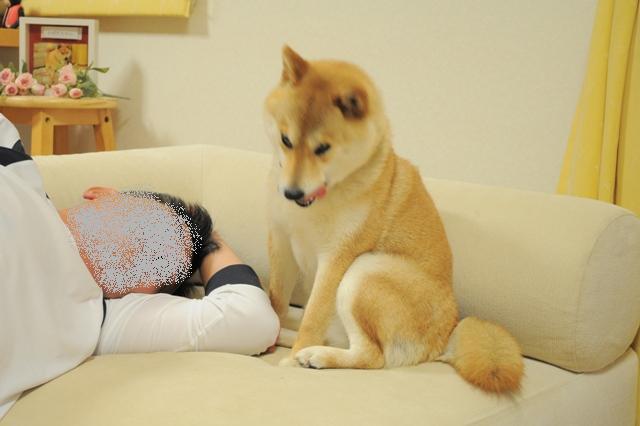 飲み過ぎ注意!!_a0126590_738098.jpg