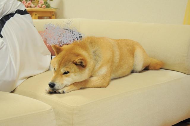 飲み過ぎ注意!!_a0126590_7383581.jpg