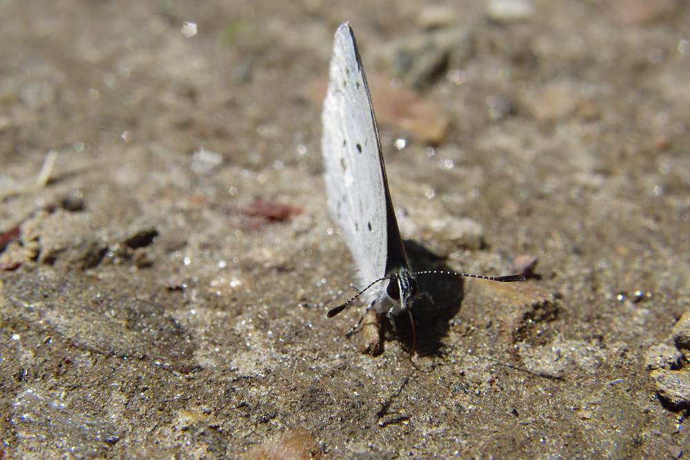 a0152692_2019254.jpg