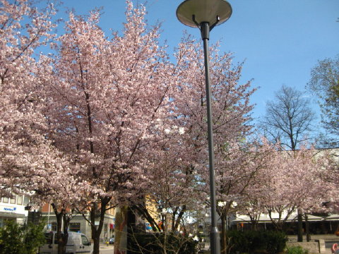 c0180096_7582190.jpg