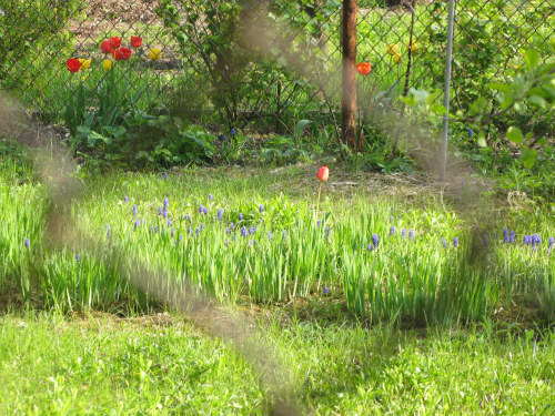f0129897_2345392.jpg