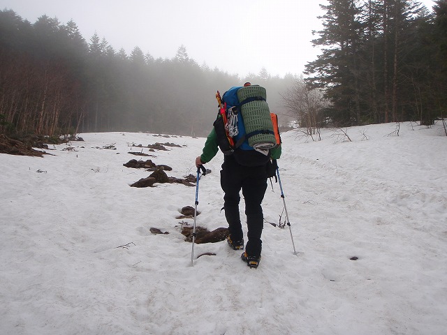 c0147398_0591352.jpg