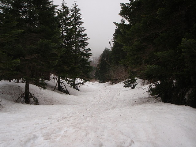 c0147398_0594282.jpg