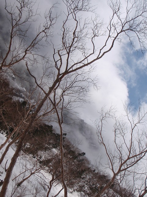 c0147398_059553.jpg