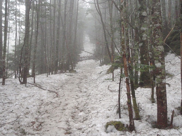 c0147398_059579.jpg