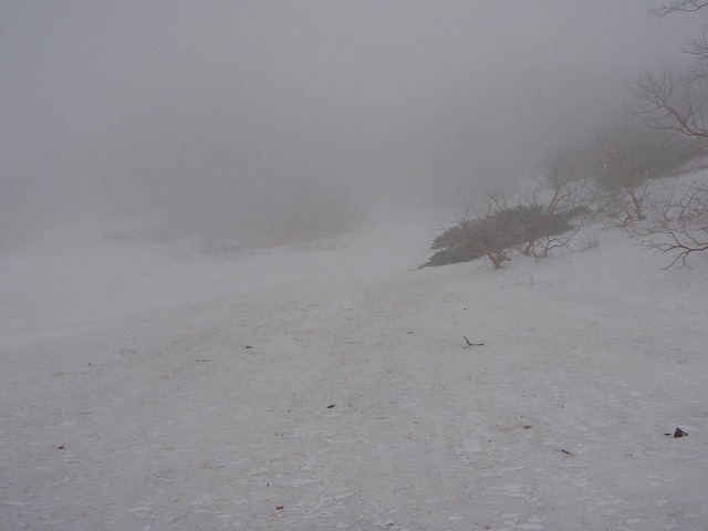 c0147398_102499.jpg