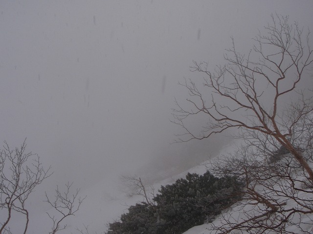 c0147398_105365.jpg