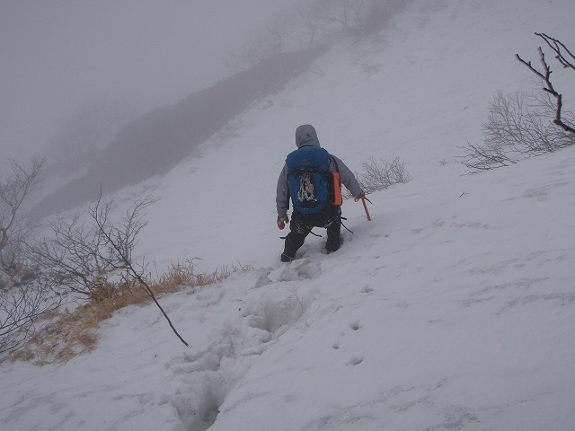 c0147398_112839.jpg