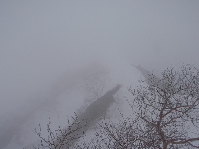 c0147398_1131677.jpg