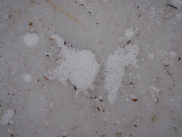 c0147398_11350.jpg