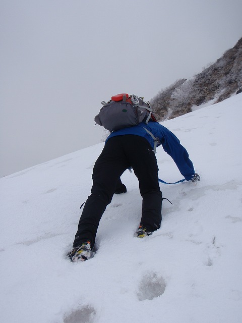 c0147398_115367.jpg