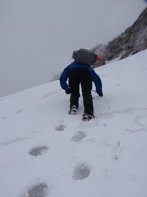 c0147398_12048.jpg