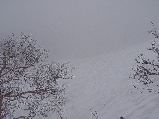 c0147398_121079.jpg