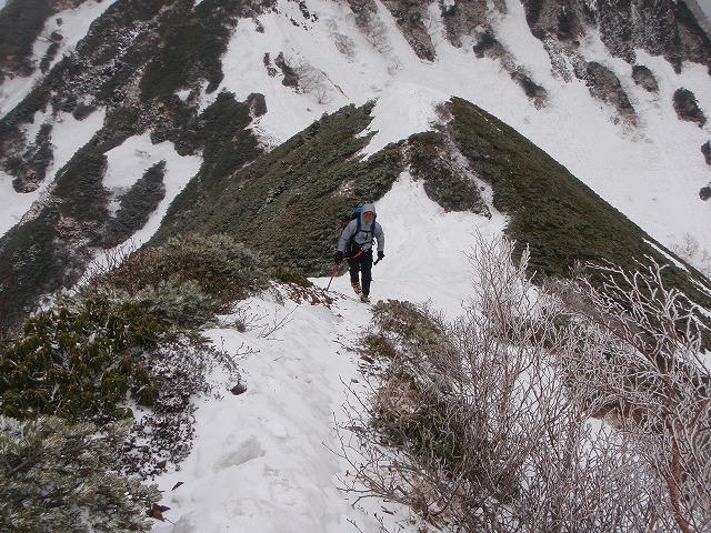 c0147398_125413.jpg