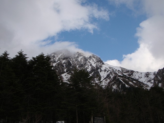 c0147398_154074.jpg
