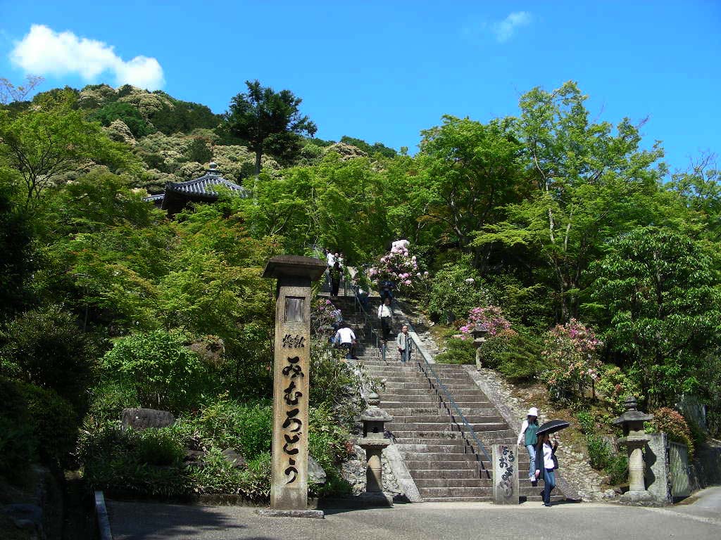 石楠花と躑躅満開の三室戸寺＠京都の宇治_c0145299_21453075.jpg