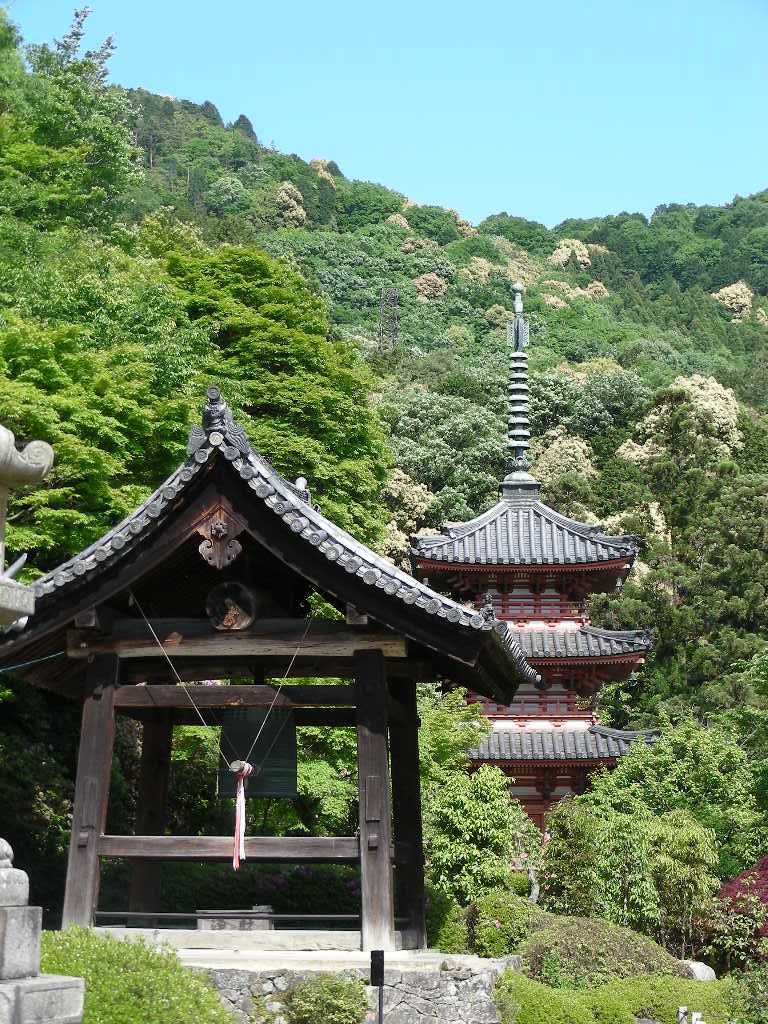 石楠花と躑躅満開の三室戸寺＠京都の宇治_c0145299_2295753.jpg