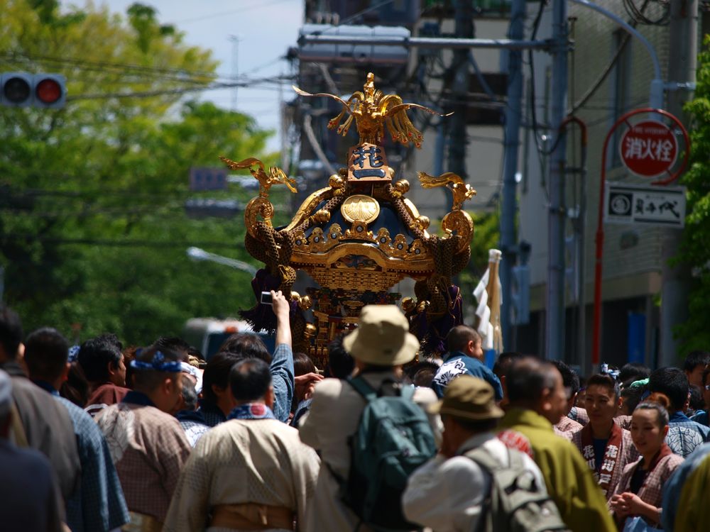 晴天に恵まれた2010三社祭り_c0169199_1812185.jpg