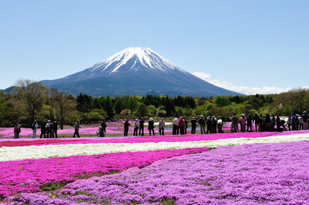 いや～　すごい富士山でした！_f0233999_2274689.jpg