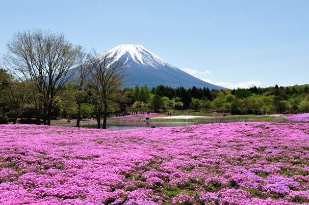 いや～　すごい富士山でした！_f0233999_2281578.jpg