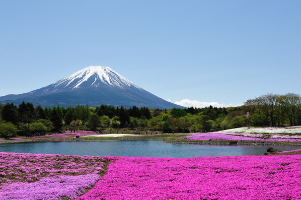 いや～　すごい富士山でした！_f0233999_2283049.jpg