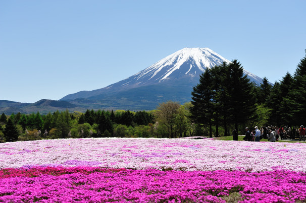 いや～　すごい富士山でした！_f0233999_2294762.jpg