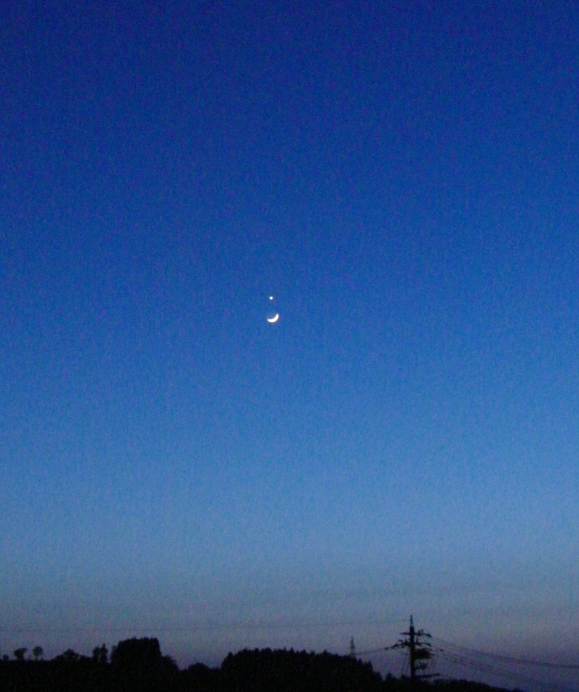 a0169501_7175041.jpg