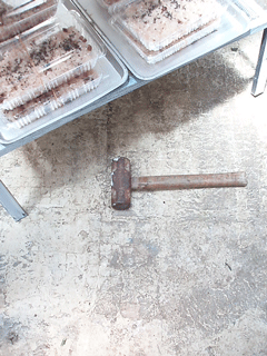 c0129702_1121282.gif