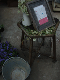 c0129702_1123041.gif