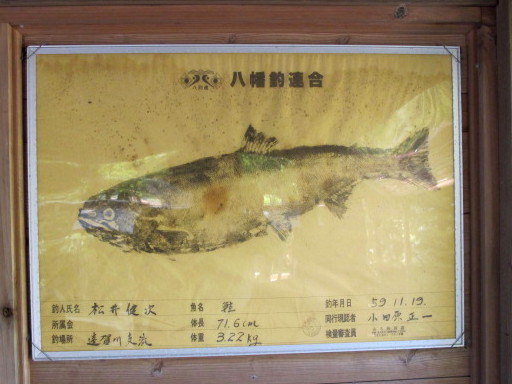 c0036203_1912832.jpg