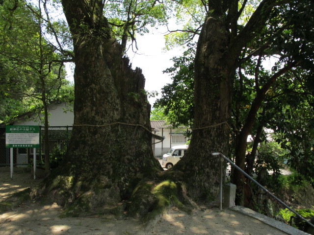 鮭神社_c0036203_20241067.jpg