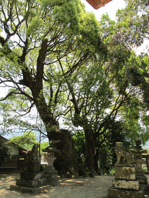 鮭神社_c0036203_20292038.jpg