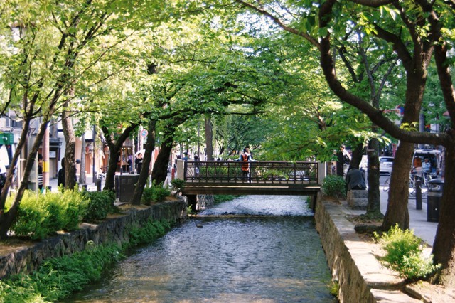 f0036603_161387.jpg