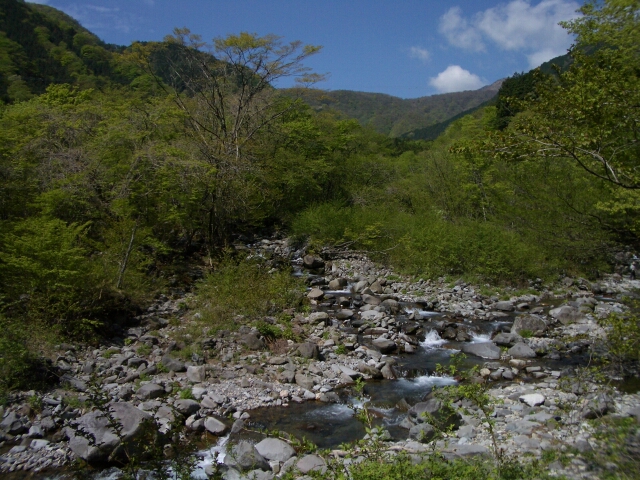 b0172805_4371936.jpg
