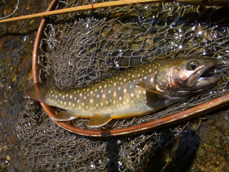 b0172805_439191.jpg